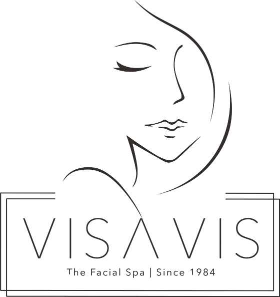 Vis a Vis logo, 2019